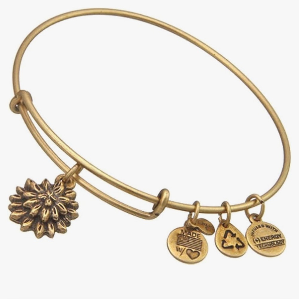 Alex and Ani NWT Water Lily Expandable Rafaelian Gold Charm Bracelet